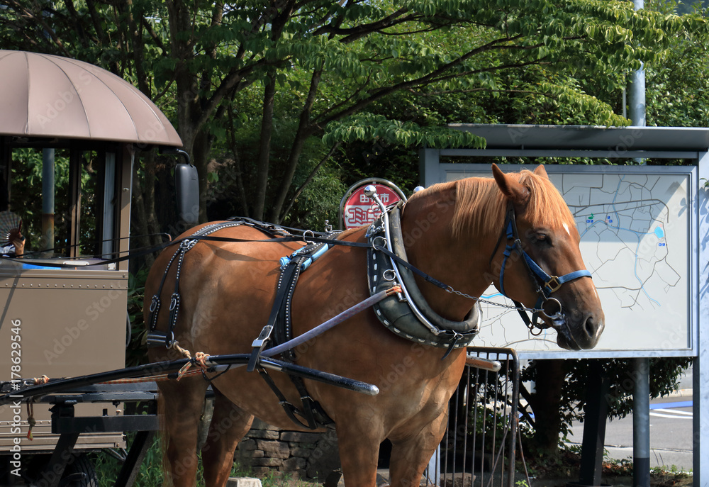 辻馬車