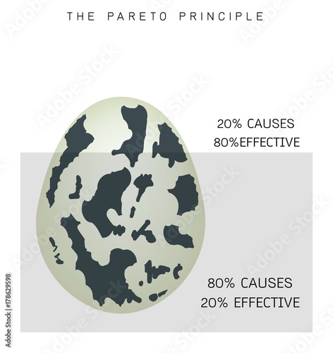 Pareto Principle or Law of The Vital Few 80/20 Rule