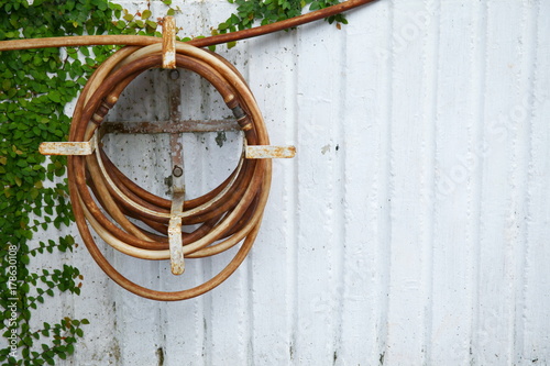 Wallpaper Mural Old watering hose hang on the concrete wall. Torontodigital.ca