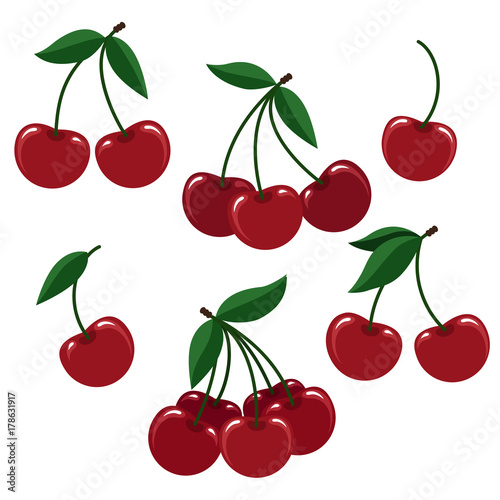 Cherry illustration. Vector cherries or fresh cherise berry set for logo isolated on white background