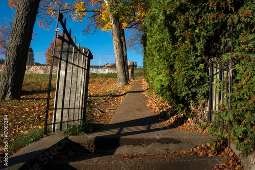 Leaf Covered Walkway