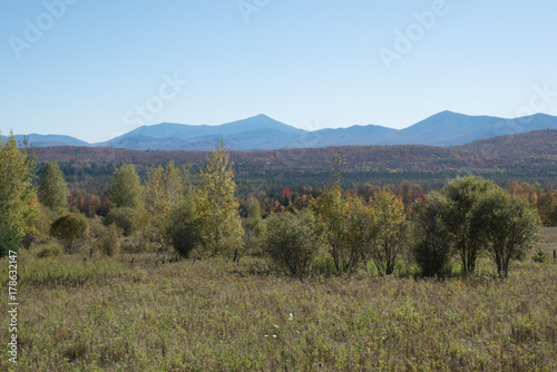 Mountain Foliage Landscape