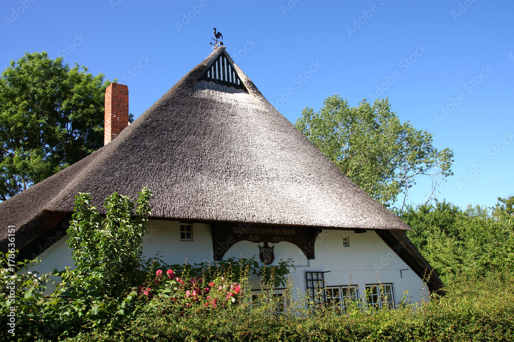 Reetdachhaus im Dorf Siggeneben , Ostholstein, Schleswig-Holstein