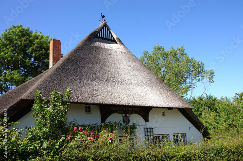 Reetdachhaus im Dorf Siggeneben , Ostholstein, Schleswig-Holstein
