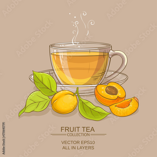 apricot tea illustration