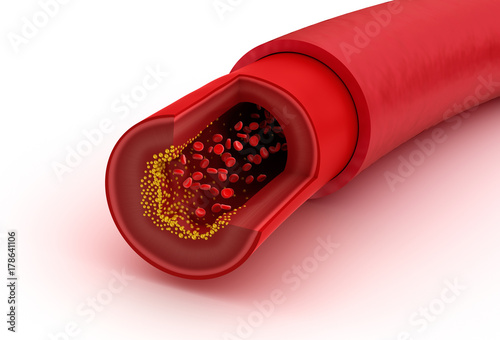 Blood vessel sliced macro with erythrocytes , Medically accurate 3D illustration photo