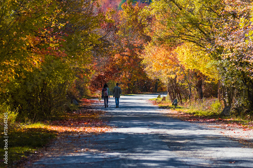 The autumn with foliage in the National Park of Abruzzo, Lazio and Molise (Italy) - An italian mountain natural reserve, with little old towns, the Barrea Lake, Camosciara, Forca d'Acero, Val Fondillo