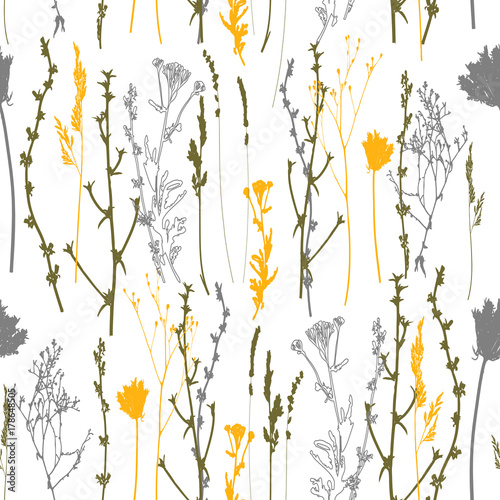 Meadow grasses, herbs and flowers outlines vector seamless pattern.