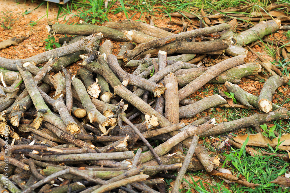 Fototapeta premium Pile of firewood, preparation of firewood for the winter and use for cooking