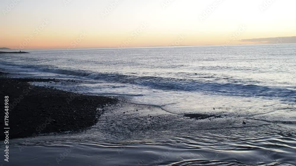 夜明けの海 水鳥 夜明けの海 水鳥