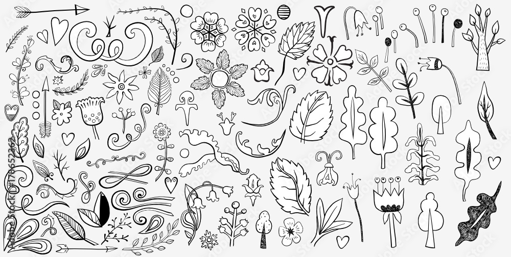 Hand drawn vintage floral design elements