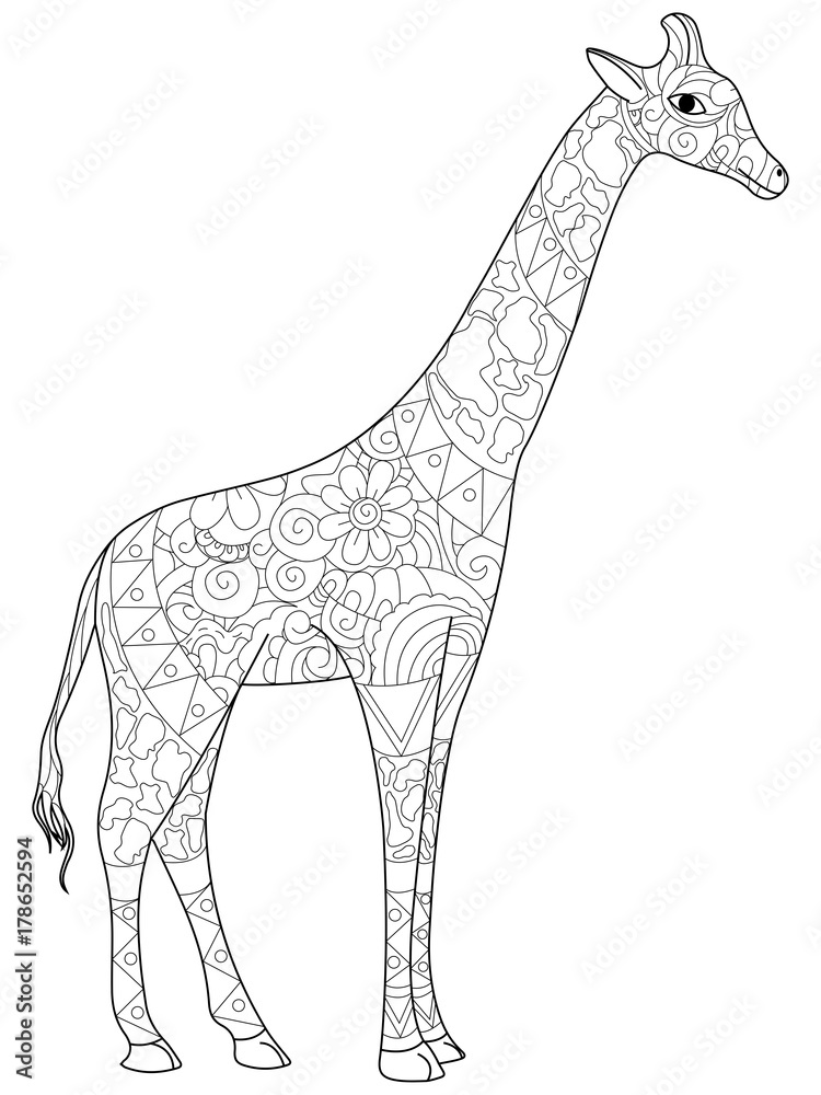Naklejka premium Żyrafa kolorowanka dla dorosłych ilustracji rastrowych