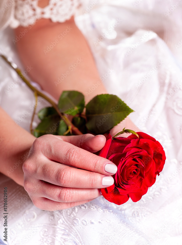 Holding singl red rose in woman hands. Flowers in wedding or valentines  day. Female glamour bride hand with red rose as symbol love Stock Photo |  Adobe Stock