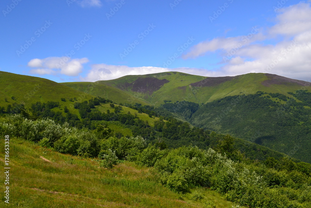 Naklejka premium Góry Karpaty