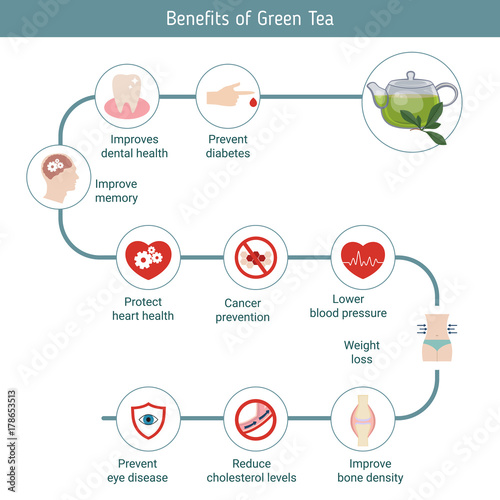 Foods infographics. Green tea.