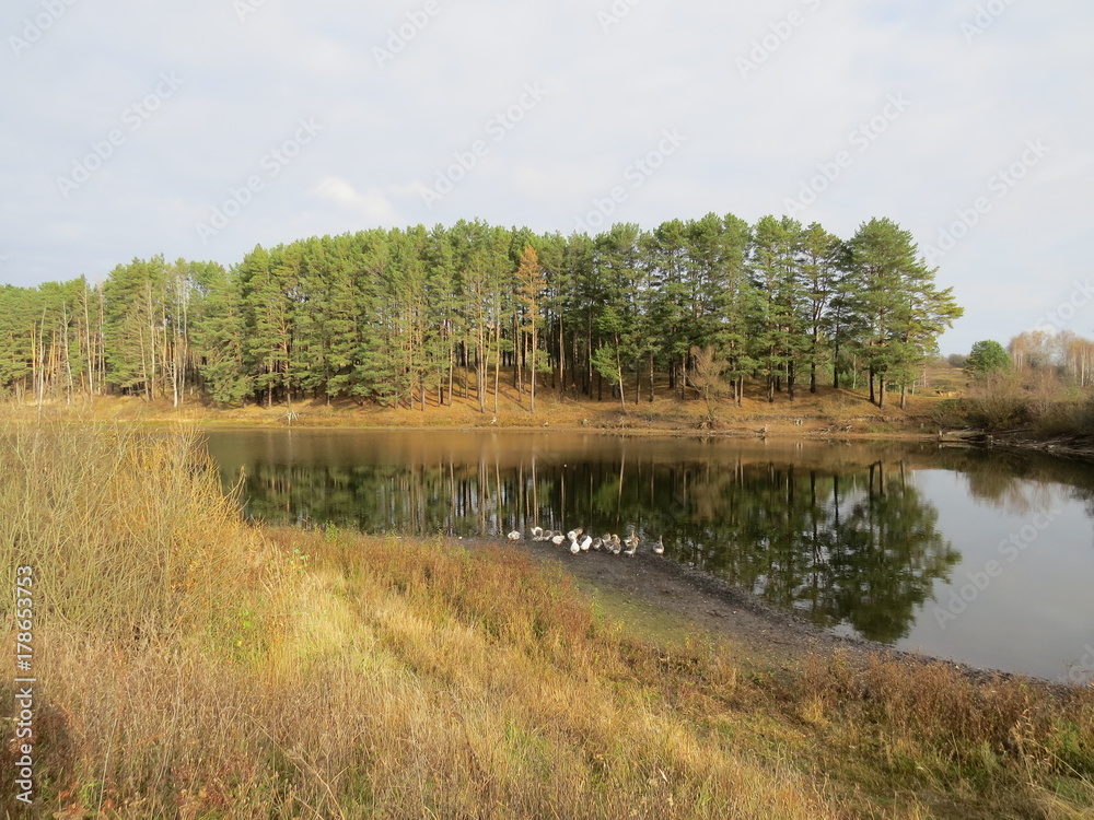 Everyone has a favorite place. Autumn. Forest by the lake. (The Vast Russia! Sergey, Bryansk.)