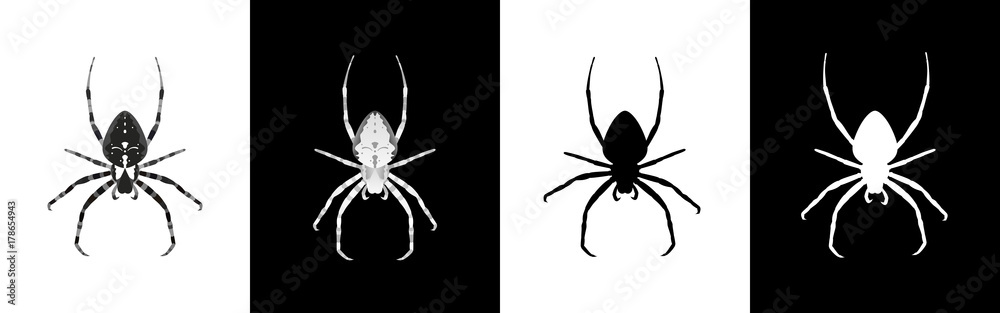 Set of spider insect vector illustration - obrazy, fototapety, plakaty 