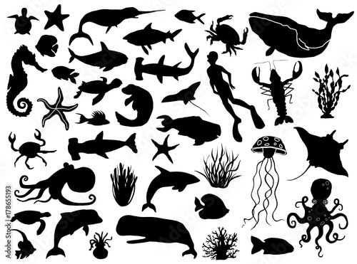 Aquatic life vector silhouettes