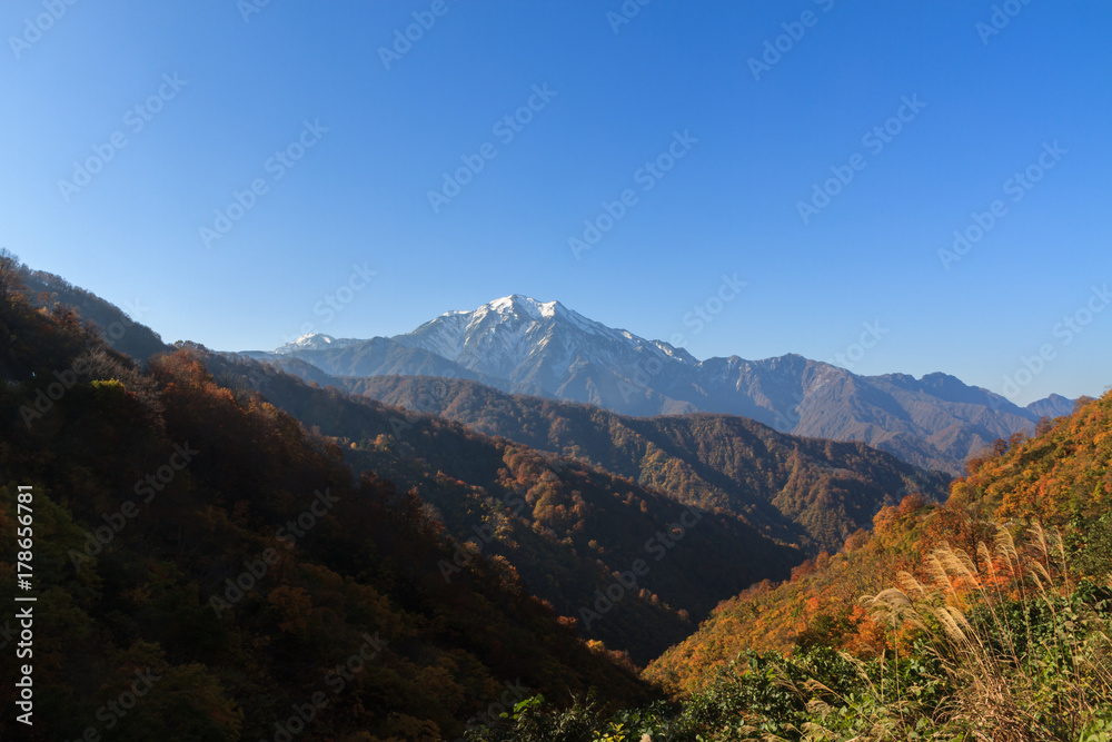 秋の樹海ラインからみた風景 秋の樹海ラインからみた風景
