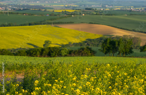 Fields in Moravian Tuscany at Sunset, South Moravian, Europe, Czech Republic © Mada_cris