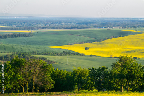 Fields in Moravian Tuscany at Sunset  South Moravian  Europe  Czech Republic
