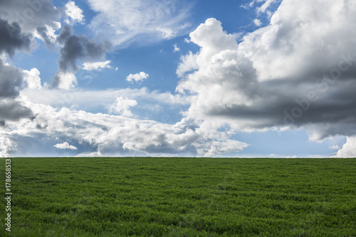 Gras und Wolken