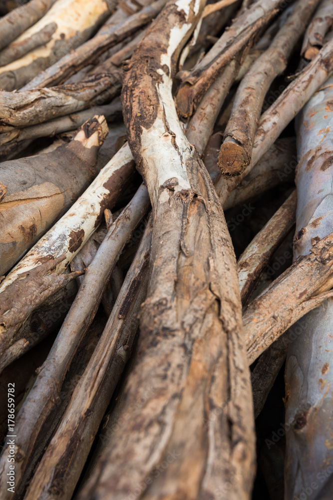 picture pile timber used picture pile timber used