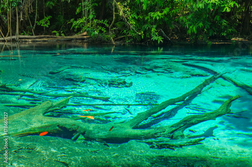 Fototapeta Naklejka Na Ścianę i Meble -  Emerald blue Pool. Krabi Thailand