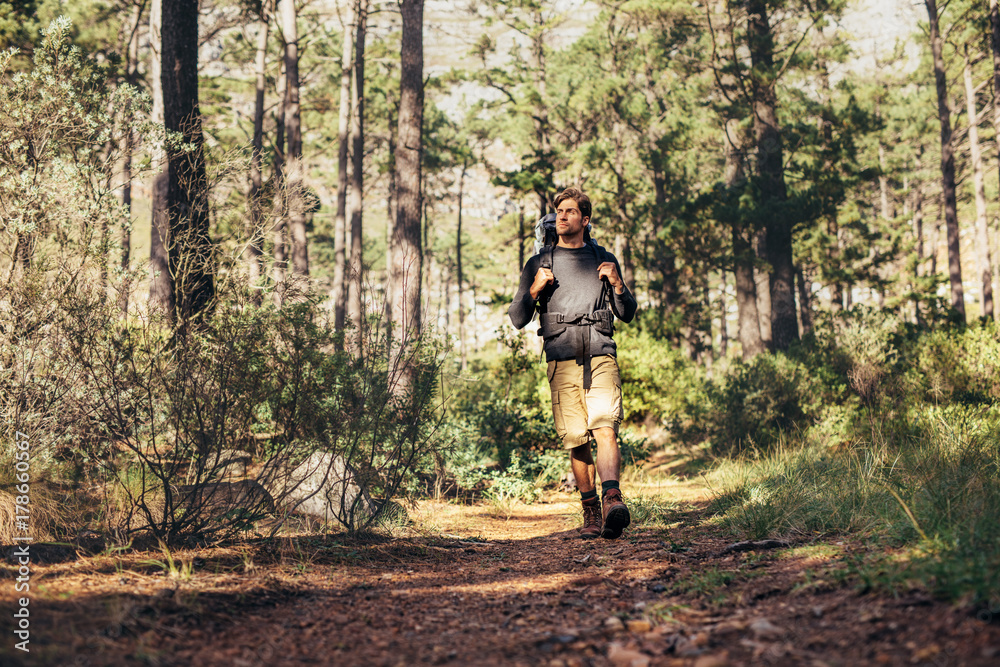 Fototapeta premium Man walking in forest wearing a backpack