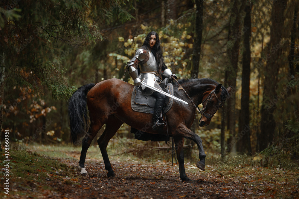 Portrait of beautiful medieval girl warrior in a chain mail hood. Portrait of beautiful medieval girl warrior in a chain mail hood.