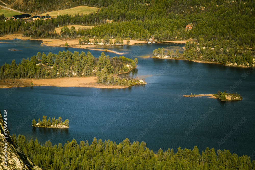 Obraz premium A beautiful aerial view of an autumn forest with lake in Norway. Pine trees from above. Colorful forest landscape.