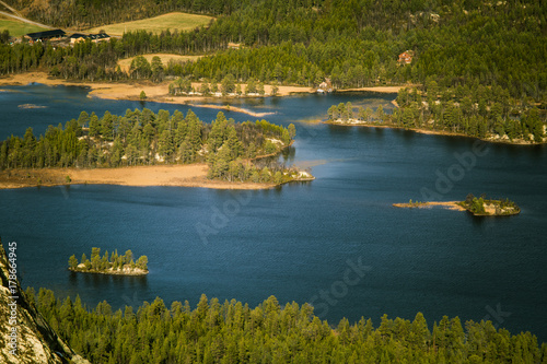 A beautiful aerial view of an autumn forest with lake in Norway. Pine trees from above. Colorful forest landscape.