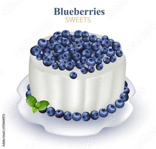Blueberries cake Realistic Vector illustration on white backgrounds