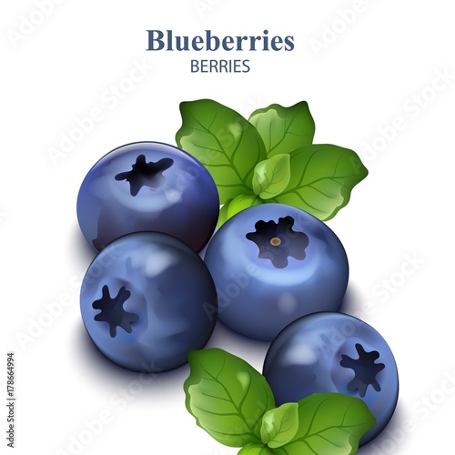 Blueberries isolated on white backgrounds Vector realistic