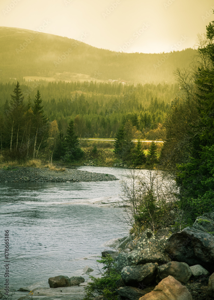 Obraz premium Beautiful autumn landscape in central Norway. Colorful fall scenery in Scandinavia.