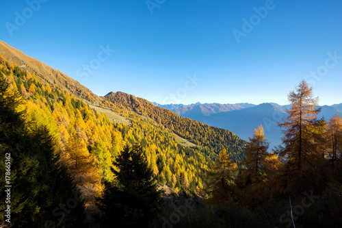 Valtellina  IT  - Alpe Colina al tramonto in veste autunnale 