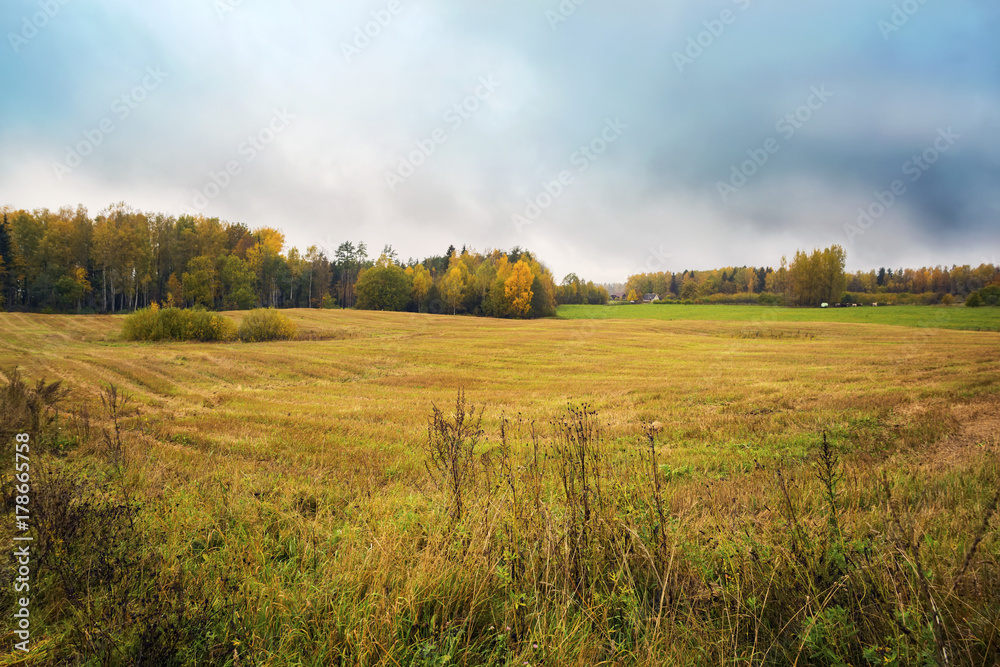 Fall landscape near Cesis town, Latvia