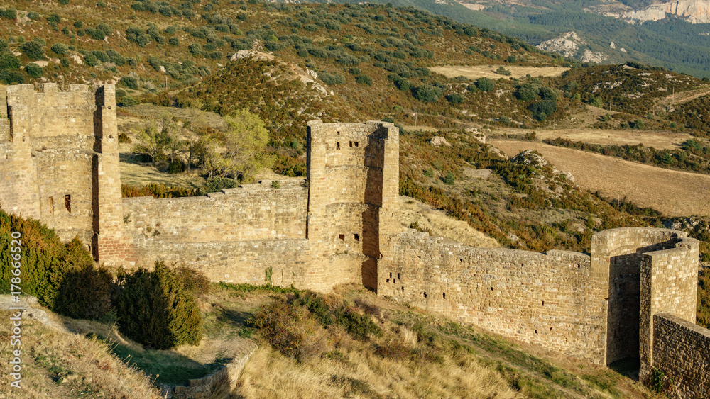 Fototapeta premium Castle walls