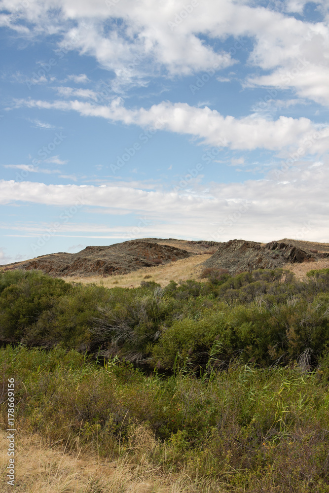 nature near the river in the steppe.