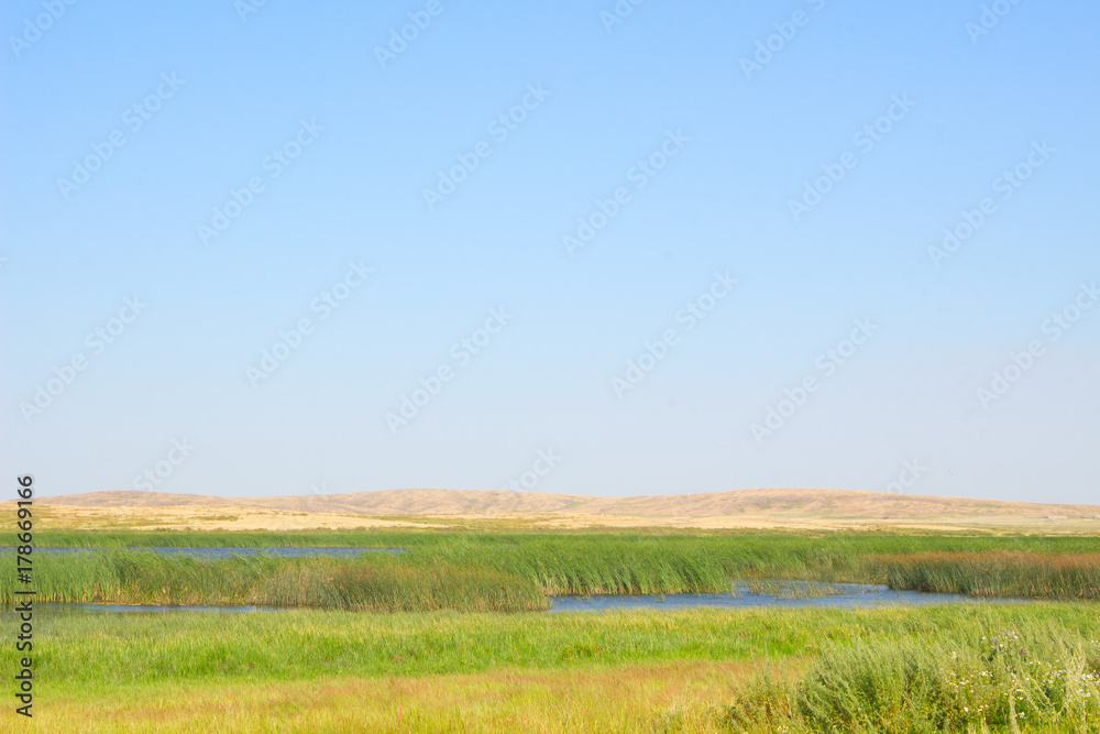 Fototapeta premium green summer bright steppe. the sky is clear. with the river