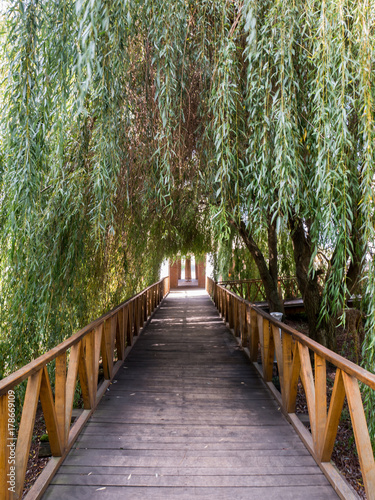Wooden bridge with willow tree above