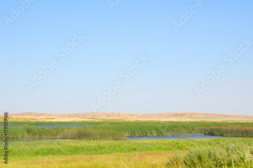 green summer bright steppe. the sky is clear. with the river