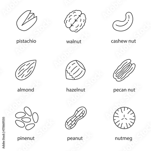 Nuts types linear icons set