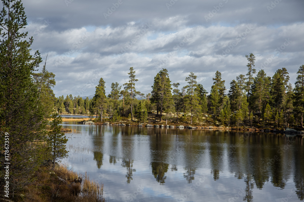 A beautiful autumn landscape at the coast of a lake in Femundsmarka National Park in Norway. Seasonal scenery in fall.