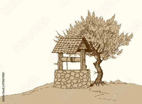 Flowering tree near the well