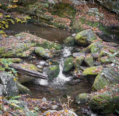 Stream along Delaware Water Gap Trails