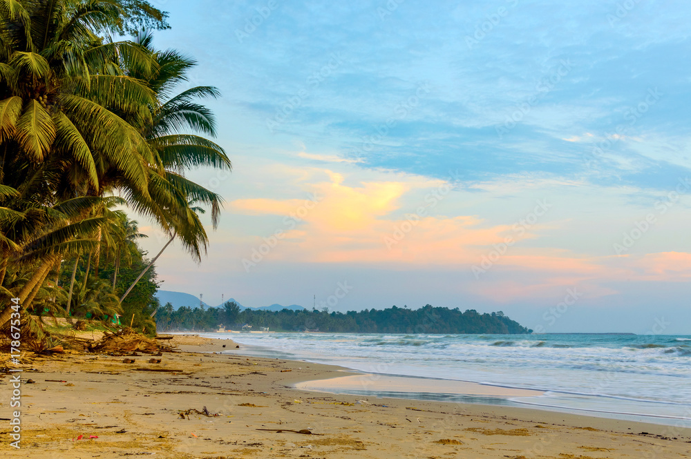 Beautiful scenic view of the wild beach