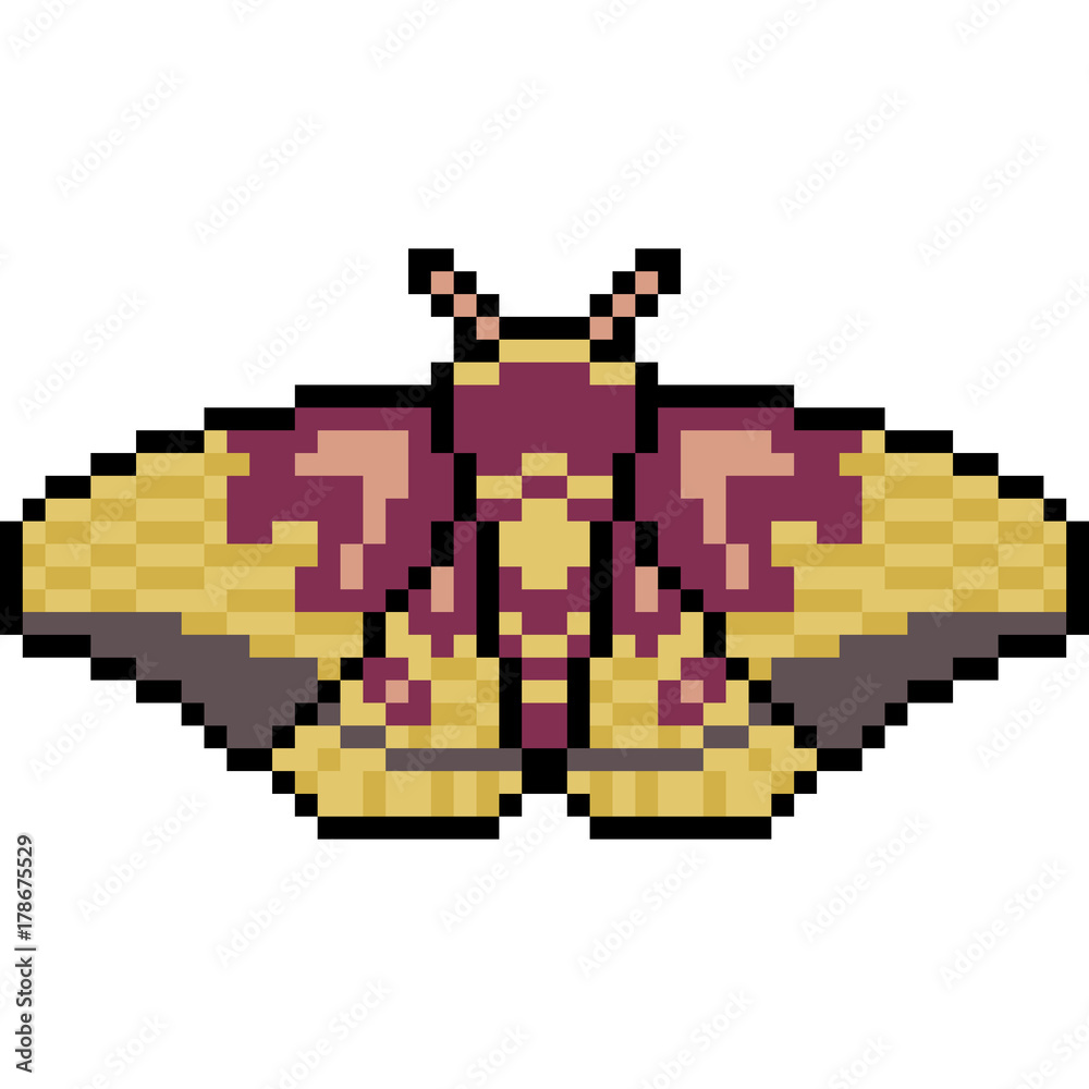 Fototapeta premium vector pixel art insect moth