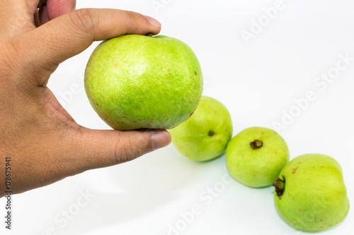 Man's hand holding green fresh sweet guava