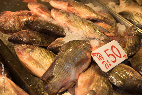 Tilapia fish fresh in ice sell on market